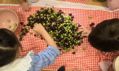 572663554 18380640238183918 8116377109196935075 n