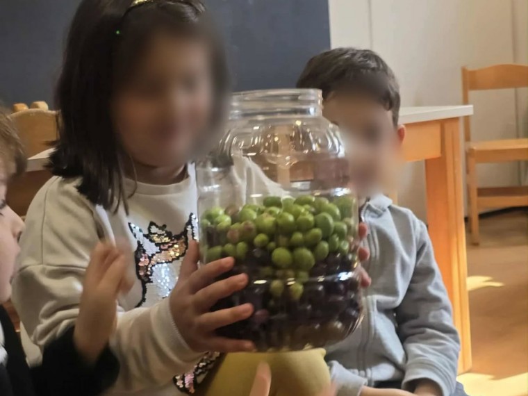 573714550 18380640295183918 9210135695774451882 n