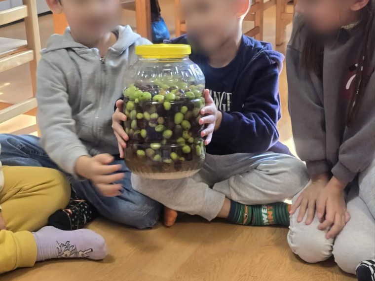 575269438 18380640250183918 4459446241003886138 n