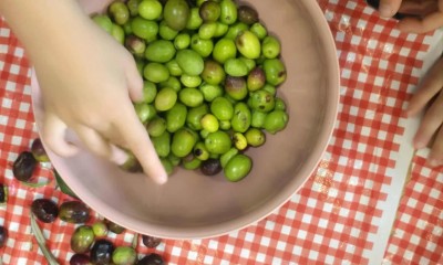 579695968 18380640220183918 9049252654672826928 n