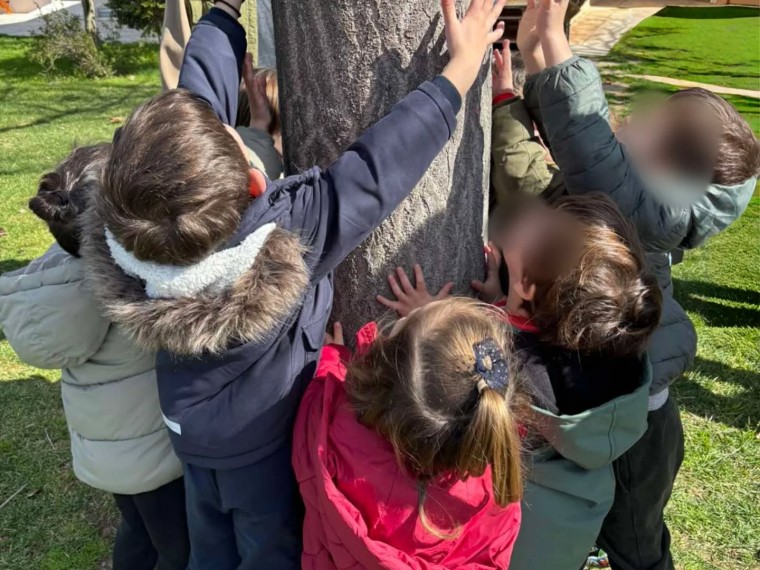 638864153 18397226173183918 5354500064492266465 n