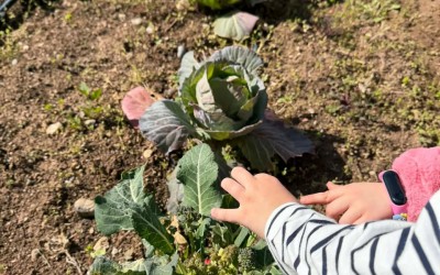 641243160 18397226185183918 4596894078341125649 n