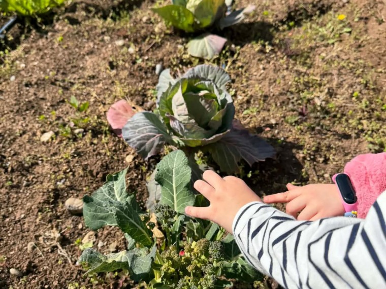 641243160 18397226185183918 4596894078341125649 n