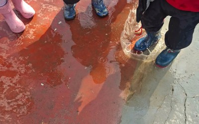 642584928 18397226194183918 2662181569682364147 n