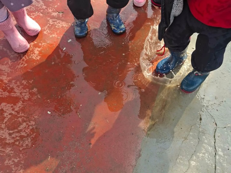 642584928 18397226194183918 2662181569682364147 n